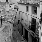 El Refugi * Arboli