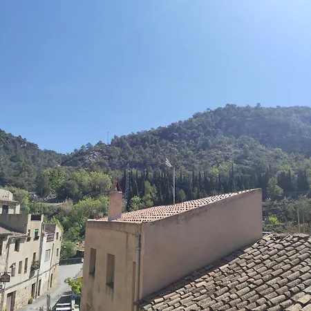 El Refugi * Arboli